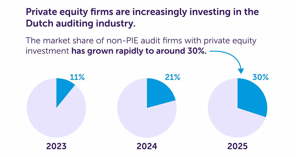 aandeel private equity in accountancy