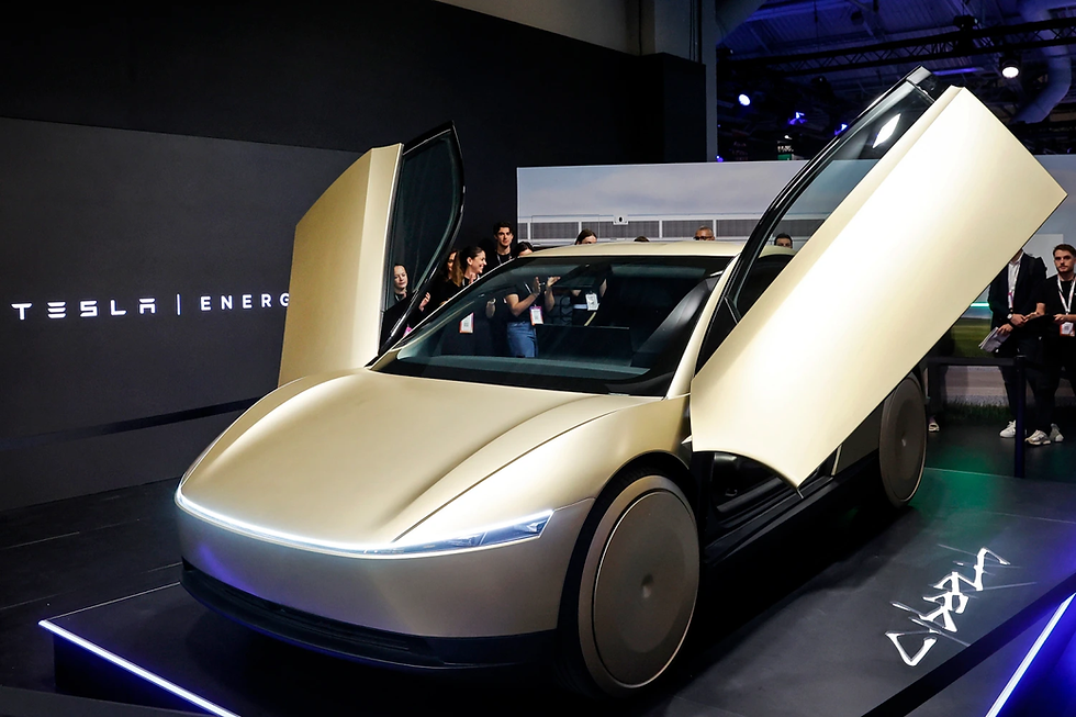 Tesla robotaxi: