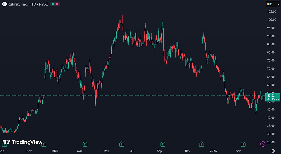 Rubrik verloor YTD 32%: