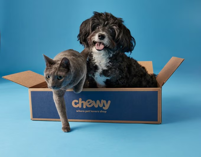 Chewy voegt verzekeringen en digitale dierenzorg toe