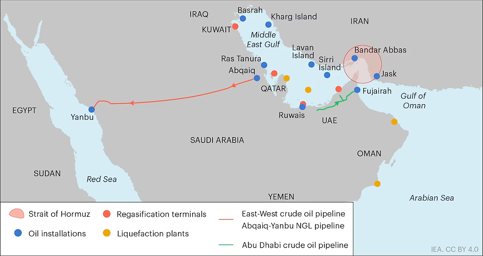 Bron: IEA