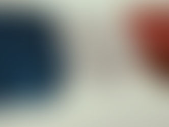 De Franse blauw-wit-rode vlag wappert aan een vlaggenmast.