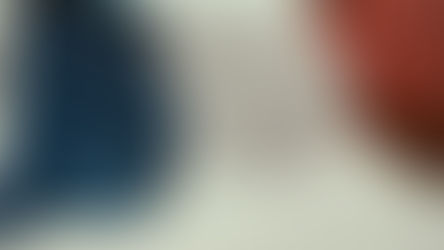 De Franse blauw-wit-rode vlag wappert aan een vlaggenmast.